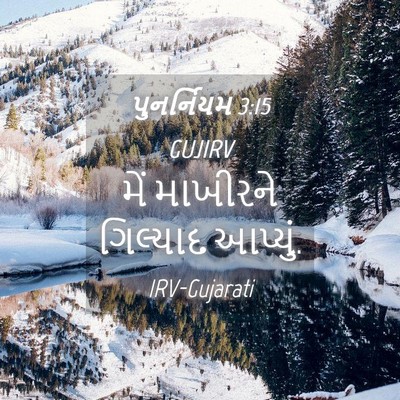 Picture 04 - પુનર્નિયમ 3:15 GUJIRV - મેં માખીરને - Bible Verse Picture