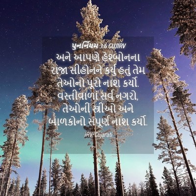Picture 04 - પુનર્નિયમ 3:6 GUJIRV - અને આપણે - Bible Verse Picture