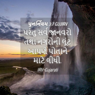 Picture 04 - પુનર્નિયમ 3:7 GUJIRV - પરંતુ સર્વ જાનવરો - Bible Verse Picture