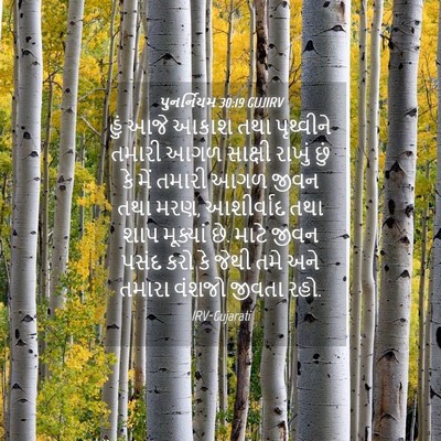 Picture 04 - પુનર્નિયમ 30:19 GUJIRV - હું આજે આકાશ તથા - Bible Verse Picture