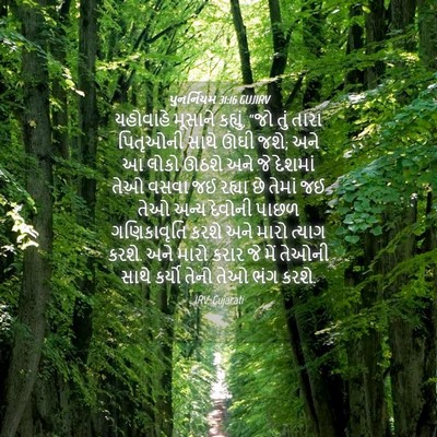 Picture 04 - પુનર્નિયમ 31:16 GUJIRV - યહોવાહે મૂસાને - Bible Verse Picture