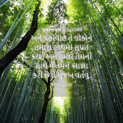 Picture 04 - પુનર્નિયમ 31:5 GUJIRV - અને યહોવાહ તે - Bible Verse Picture