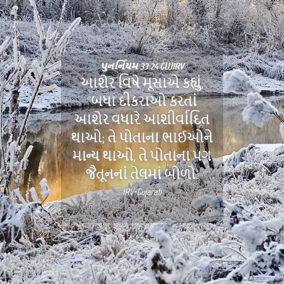 Picture 04 - પુનર્નિયમ 33:24 GUJIRV - આશેર વિષે મૂસાએ - Bible Verse Picture