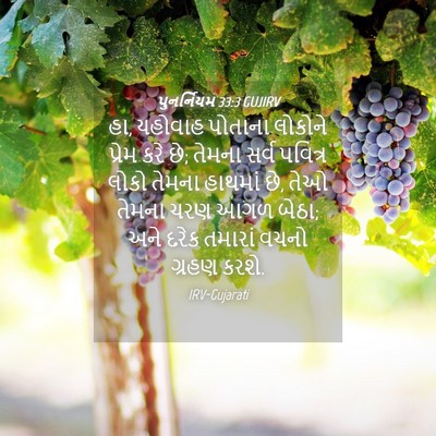 Picture 04 - પુનર્નિયમ 33:3 GUJIRV - હા, યહોવાહ પોતાના - Bible Verse Picture