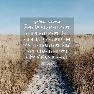 Picture 04 - પુનર્નિયમ 34:11 GUJIRV - મિસર દેશમાં ફારુન - Bible Verse Picture