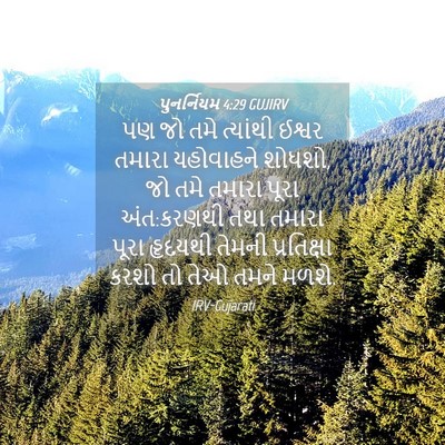 Picture 04 - પુનર્નિયમ 4:29 GUJIRV - પણ જો તમે ત્યાંથી - Bible Verse Picture