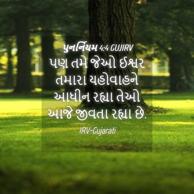 Picture 04 - પુનર્નિયમ 4:4 GUJIRV - પણ તમે જેઓ ઈશ્વર - Bible Verse Picture