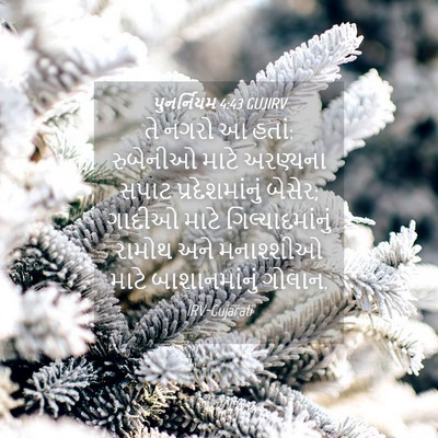 Picture 04 - પુનર્નિયમ 4:43 GUJIRV - તે નગરો આ હતાં: - Bible Verse Picture