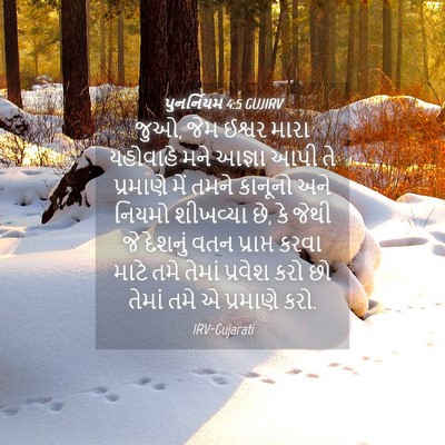 Picture 04 - પુનર્નિયમ 4:5 GUJIRV - જુઓ, જેમ ઈશ્વર મારા - Bible Verse Picture