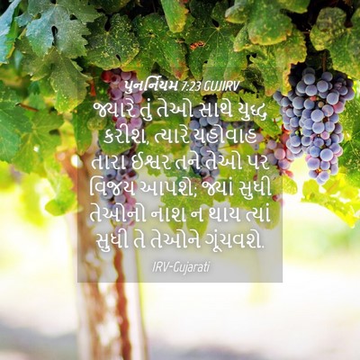 Picture 04 - પુનર્નિયમ 7:23 GUJIRV - જ્યારે તું તેઓ - Bible Verse Picture
