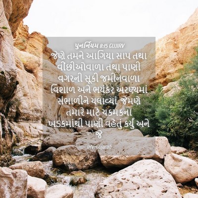 Picture 04 - પુનર્નિયમ 8:15 GUJIRV - જેણે તમને આગિયા - Bible Verse Picture