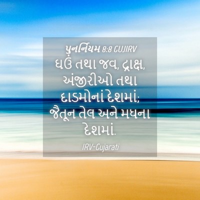 Picture 04 - પુનર્નિયમ 8:8 GUJIRV - ઘઉં તથા જવ, - Bible Verse Picture
