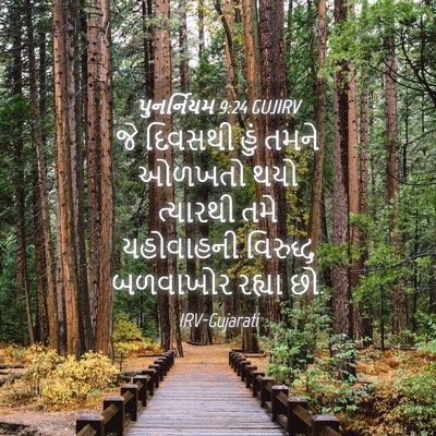 Picture 04 - પુનર્નિયમ 9:24 GUJIRV - જે દિવસથી હું તમને - Bible Verse Picture