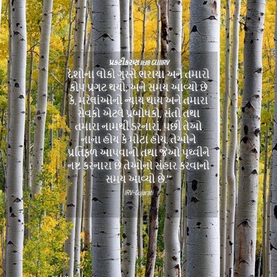 Picture 04 - પ્રકટીકરણ 11:18 GUJIRV - દેશોના લોકો - Bible Verse Picture