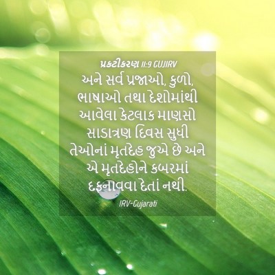 Picture 04 - પ્રકટીકરણ 11:9 GUJIRV - અને સર્વ પ્રજાઓ, - Bible Verse Picture