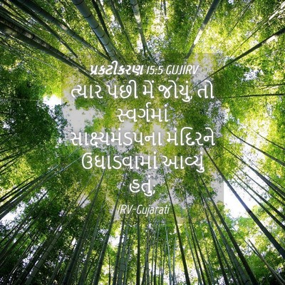 Picture 04 - પ્રકટીકરણ 15:5 GUJIRV - ત્યાર પછી મેં - Bible Verse Picture