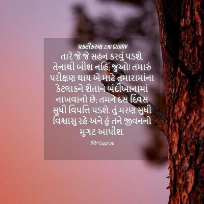 Picture 04 - પ્રકટીકરણ 2:10 GUJIRV - તારે જે જે સહન - Bible Verse Picture