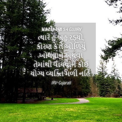 Picture 04 - પ્રકટીકરણ 5:4 GUJIRV - ત્યારે હું બહુ - Bible Verse Picture