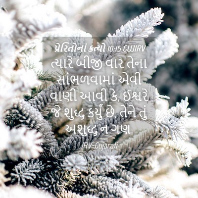 Picture 04 - પ્રેરિતોનાં ક્રત્યો 10:15 GUJIRV - ત્યારે બીજી વાર - Bible Verse Picture