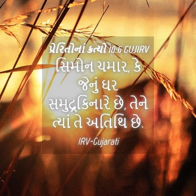 Picture 04 - પ્રેરિતોનાં ક્રત્યો 10:6 GUJIRV - સિમોન ચમાર, કે - Bible Verse Picture