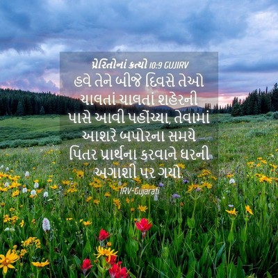 Picture 04 - પ્રેરિતોનાં ક્રત્યો 10:9 GUJIRV - હવે તેને બીજે - Bible Verse Picture