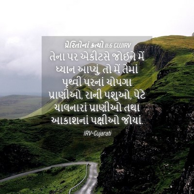 Picture 04 - પ્રેરિતોનાં ક્રત્યો 11:6 GUJIRV - તેના પર એકીટસે - Bible Verse Picture