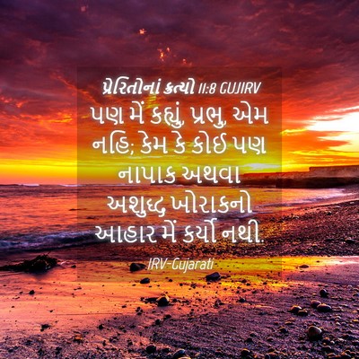 Picture 04 - પ્રેરિતોનાં ક્રત્યો 11:8 GUJIRV - પણ મેં કહ્યું, - Bible Verse Picture