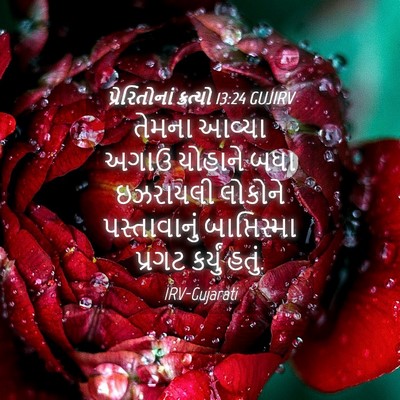 Picture 04 - પ્રેરિતોનાં ક્રત્યો 13:24 GUJIRV - તેમના આવ્યા અગાઉ - Bible Verse Picture