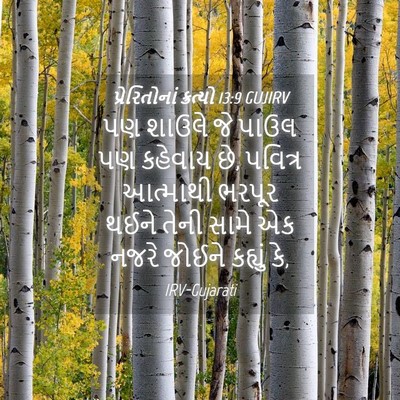 Picture 04 - પ્રેરિતોનાં ક્રત્યો 13:9 GUJIRV - પણ શાઉલે જે પાઉલ પણ - Bible Verse Picture