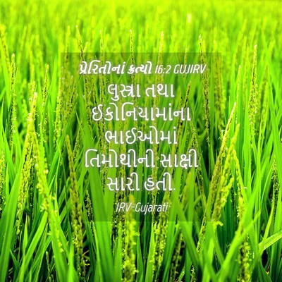 Picture 04 - પ્રેરિતોનાં ક્રત્યો 16:2 GUJIRV - લુસ્ત્રા તથા - Bible Verse Picture