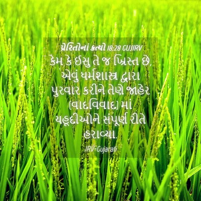 Picture 04 - પ્રેરિતોનાં ક્રત્યો 18:28 GUJIRV - કેમ કે ઈસુ તે જ - Bible Verse Picture