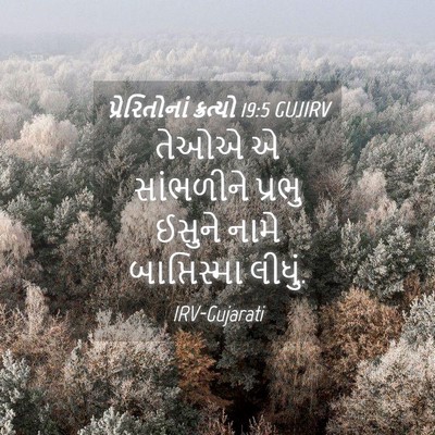 Picture 04 - પ્રેરિતોનાં ક્રત્યો 19:5 GUJIRV - તેઓએ એ સાંભળીને - Bible Verse Picture
