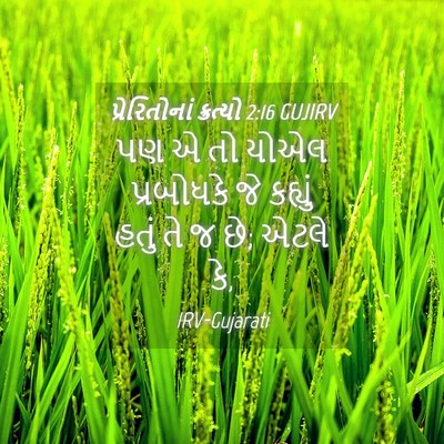 Picture 04 - પ્રેરિતોનાં ક્રત્યો 2:16 GUJIRV - પણ એ તો યોએલ - Bible Verse Picture