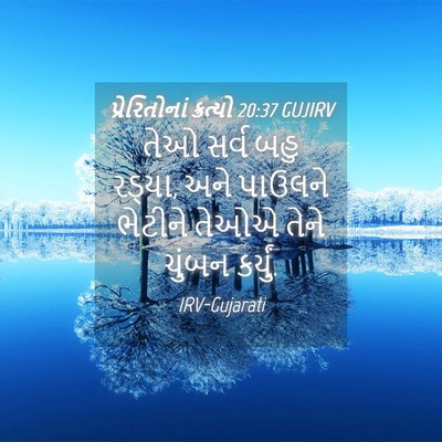 Picture 04 - પ્રેરિતોનાં ક્રત્યો 20:37 GUJIRV - તેઓ સર્વ બહુ રડ્યા, - Bible Verse Picture