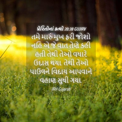 Picture 04 - પ્રેરિતોનાં ક્રત્યો 20:38 GUJIRV - તમે મારું મુખ ફરી - Bible Verse Picture