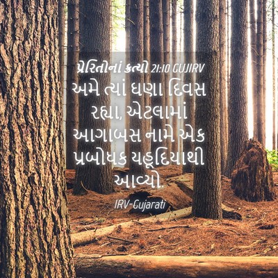 Picture 04 - પ્રેરિતોનાં ક્રત્યો 21:10 GUJIRV - અમે ત્યાં ઘણા દિવસ - Bible Verse Picture