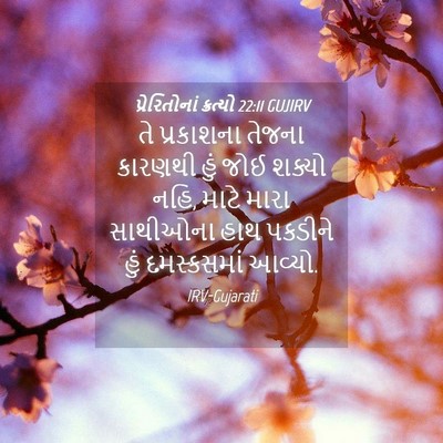 Picture 04 - પ્રેરિતોનાં ક્રત્યો 22:11 GUJIRV - તે પ્રકાશના તેજના - Bible Verse Picture