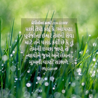 Picture 04 - પ્રેરિતોનાં ક્રત્યો 22:14 GUJIRV - પછી તેણે કહ્યું કે, - Bible Verse Picture