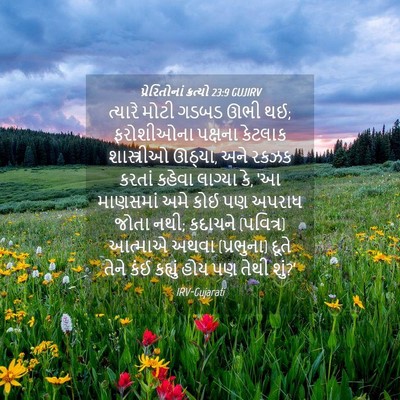 Picture 04 - પ્રેરિતોનાં ક્રત્યો 23:9 GUJIRV - ત્યારે મોટી ગડબડ - Bible Verse Picture