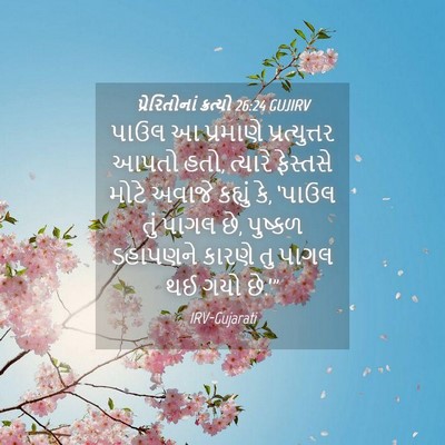 Picture 04 - પ્રેરિતોનાં ક્રત્યો 26:24 GUJIRV - પાઉલ આ પ્રમાણે - Bible Verse Picture