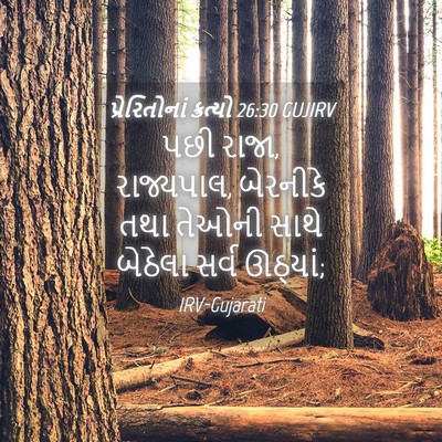 Picture 04 - પ્રેરિતોનાં ક્રત્યો 26:30 GUJIRV - પછી રાજા, રાજ્યપાલ, - Bible Verse Picture
