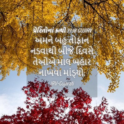 Picture 04 - પ્રેરિતોનાં ક્રત્યો 27:18 GUJIRV - અમને બહુ તોફાન - Bible Verse Picture