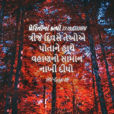 Picture 04 - પ્રેરિતોનાં ક્રત્યો 27:19 GUJIRV - ત્રીજે દિવસે તેઓએ - Bible Verse Picture
