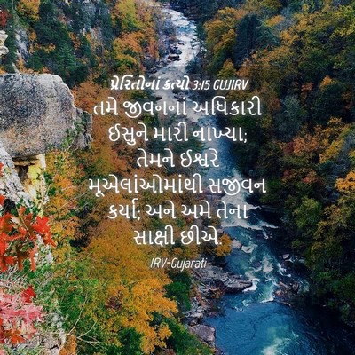 Picture 04 - પ્રેરિતોનાં ક્રત્યો 3:15 GUJIRV - તમે જીવનનાં - Bible Verse Picture