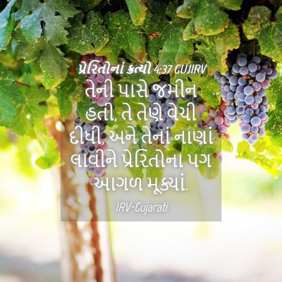 Picture 04 - પ્રેરિતોનાં ક્રત્યો 4:37 GUJIRV - તેની પાસે જમીન હતી, - Bible Verse Picture