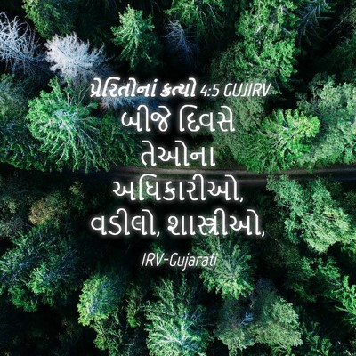 Picture 04 - પ્રેરિતોનાં ક્રત્યો 4:5 GUJIRV - બીજે દિવસે તેઓના - Bible Verse Picture