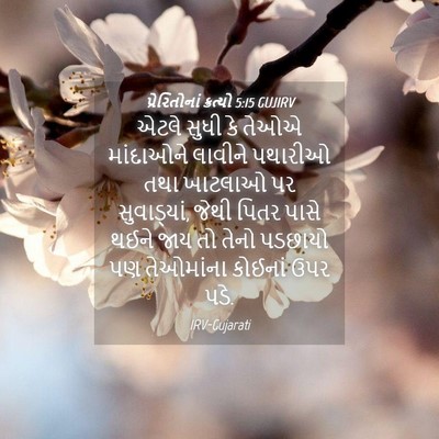 Picture 04 - પ્રેરિતોનાં ક્રત્યો 5:15 GUJIRV - એટલે સુધી કે તેઓએ - Bible Verse Picture