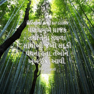 Picture 04 - પ્રેરિતોનાં ક્રત્યો 5:17 GUJIRV - પણ પ્રમુખ યાજક તથા - Bible Verse Picture