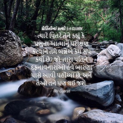 Picture 04 - પ્રેરિતોનાં ક્રત્યો 5:9 GUJIRV - ત્યારે પિતરે તેને - Bible Verse Picture