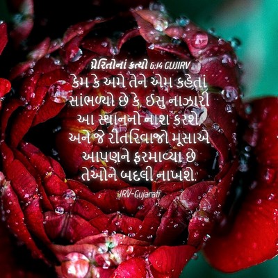 Picture 04 - પ્રેરિતોનાં ક્રત્યો 6:14 GUJIRV - કેમ કે અમે તેને એમ - Bible Verse Picture